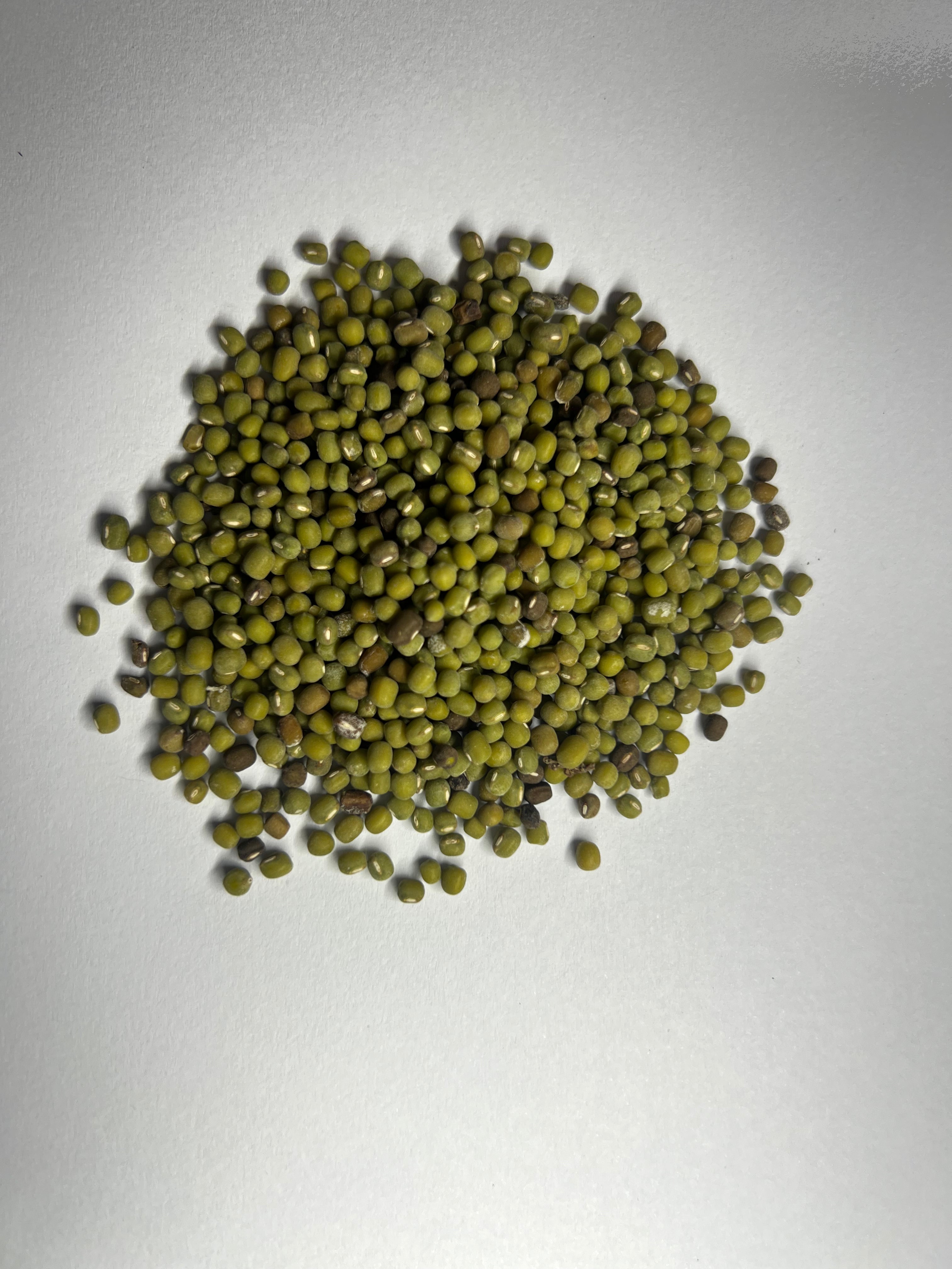 Green Dhal (Vigna radiata)