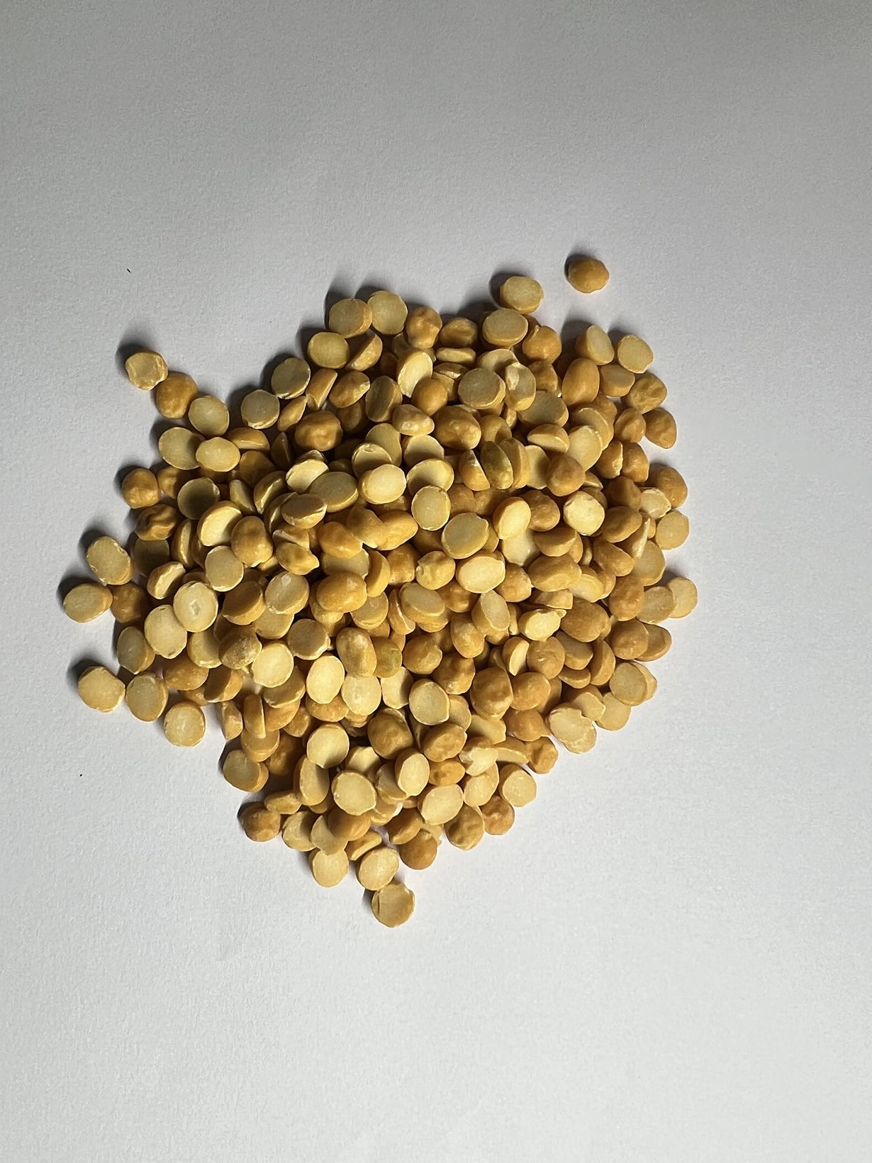 Besan (Cicer arietinum L.)