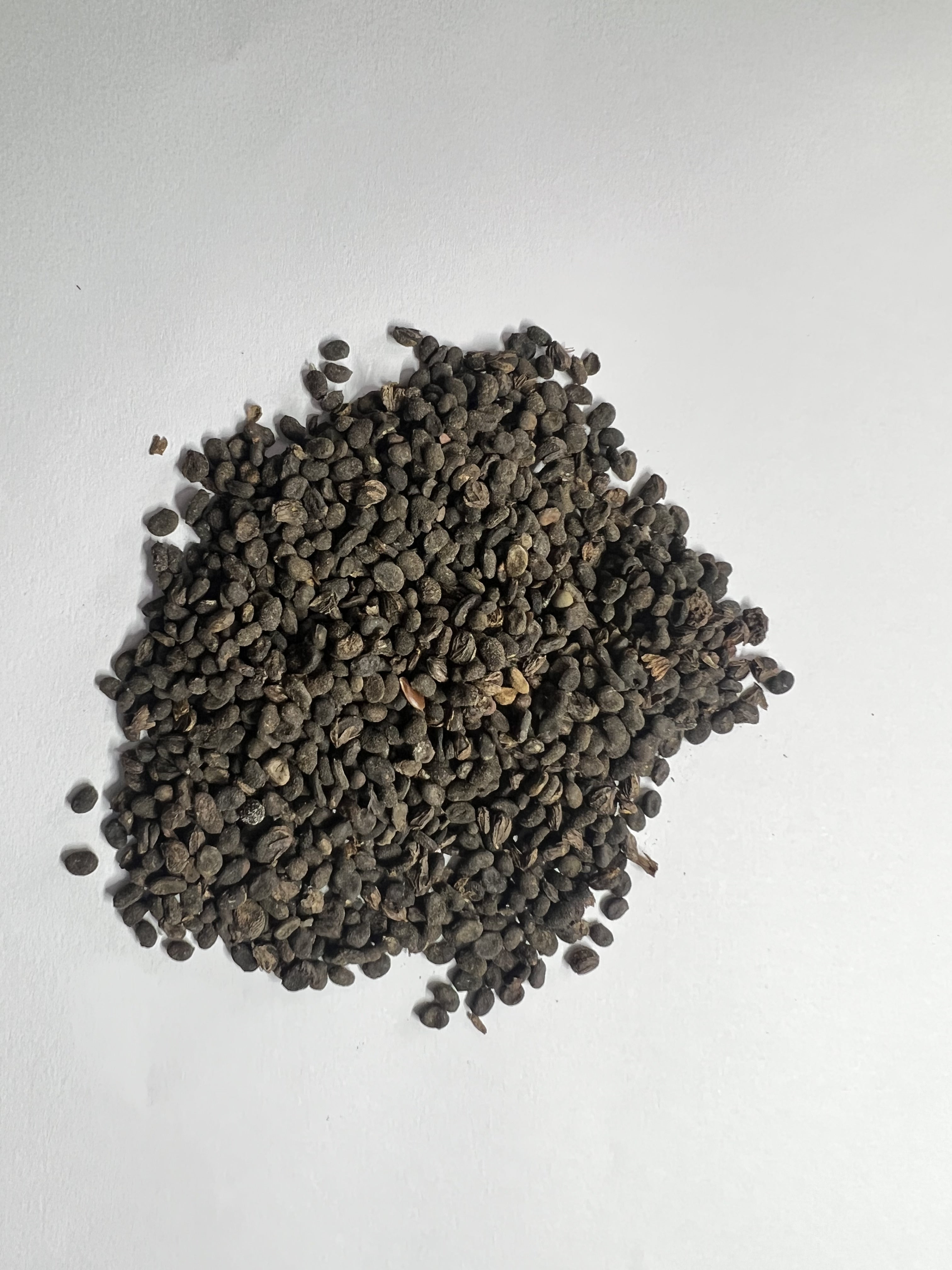 Karboga Rice (Psoralea corylifolia)