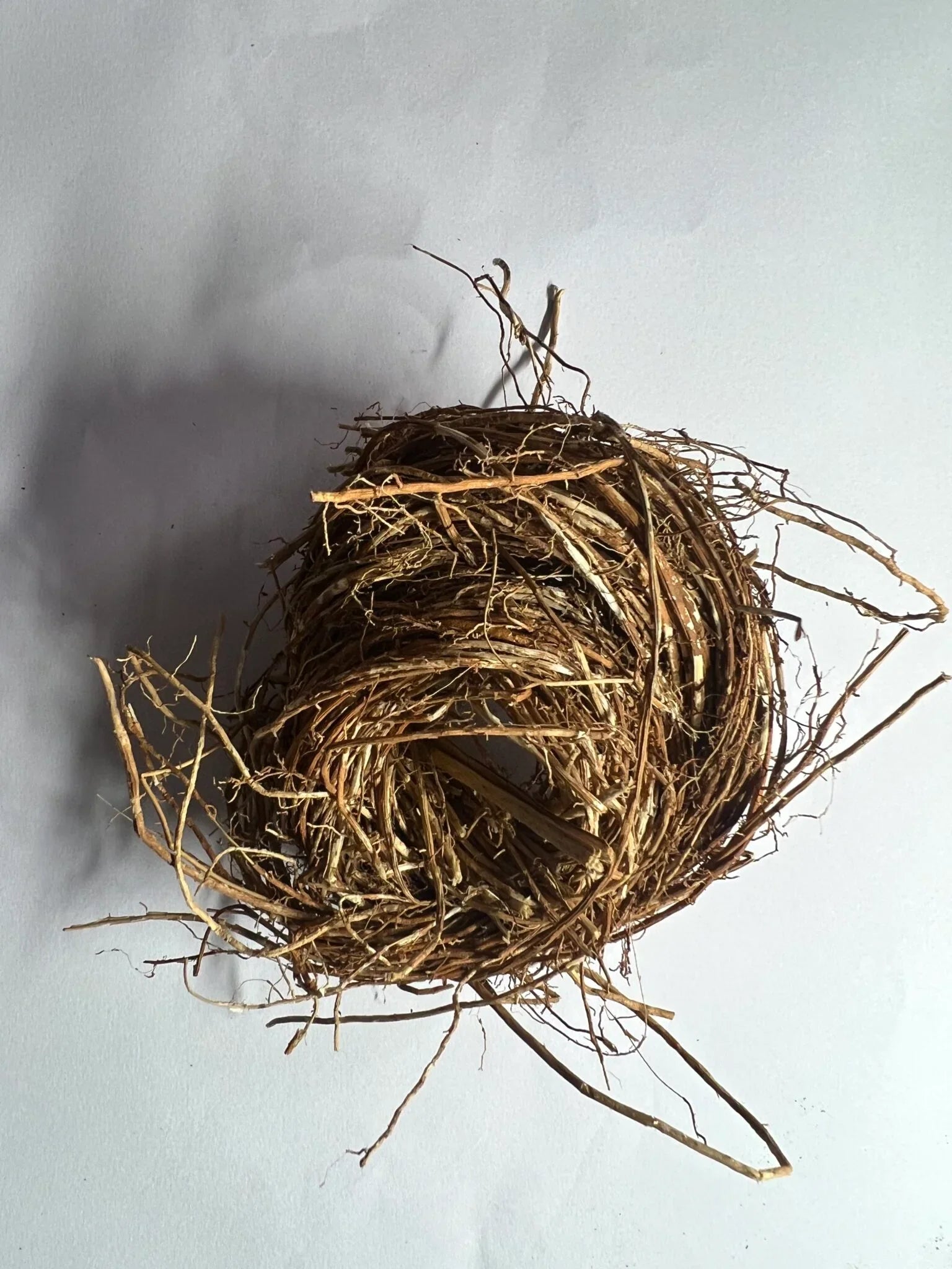 Vetiver – Ingredient Profile