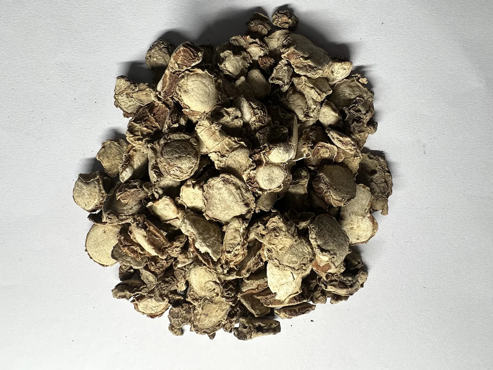 White Turmeric (Curcuma zedoaria)