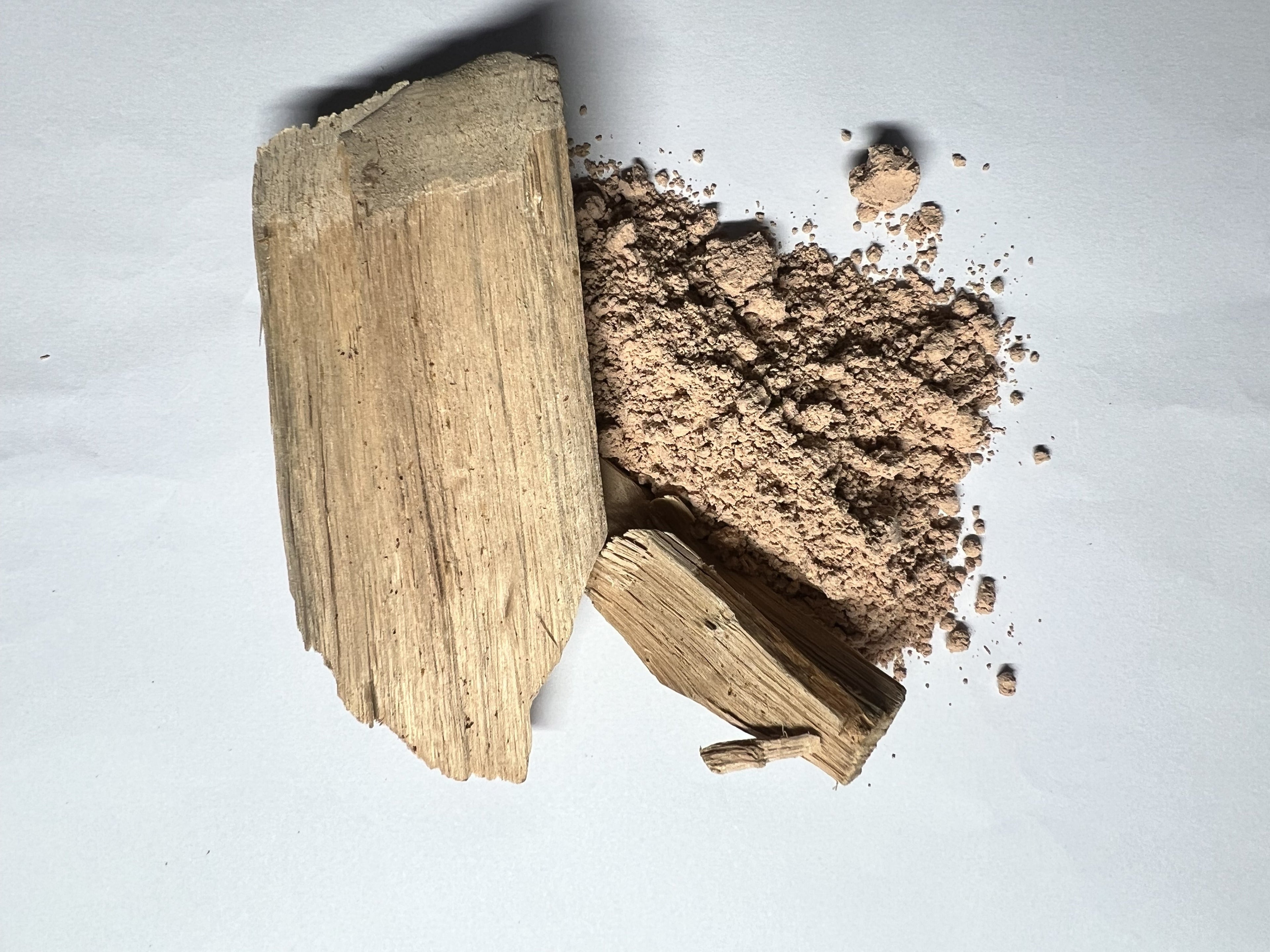 Sandalwood (Santalum album)